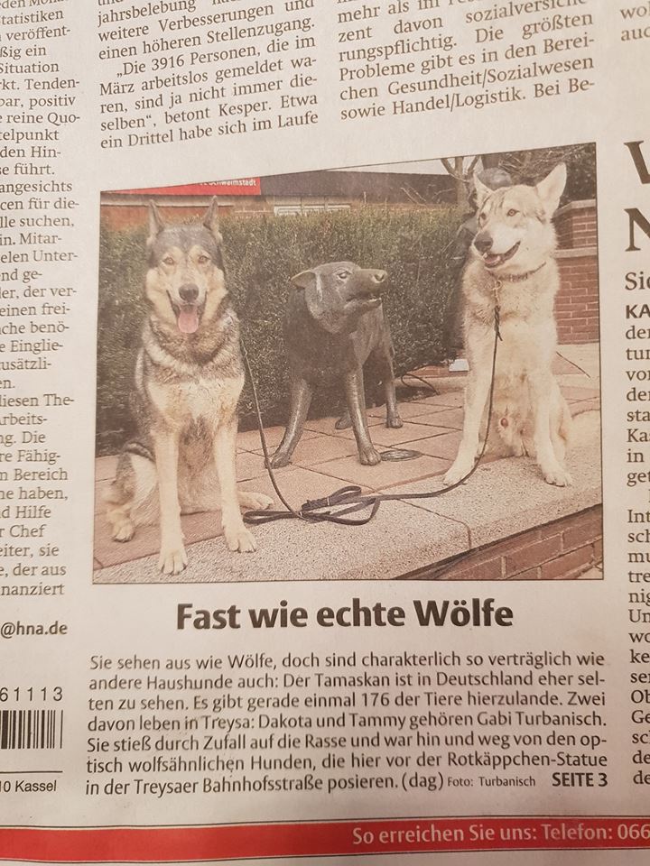Ig medien