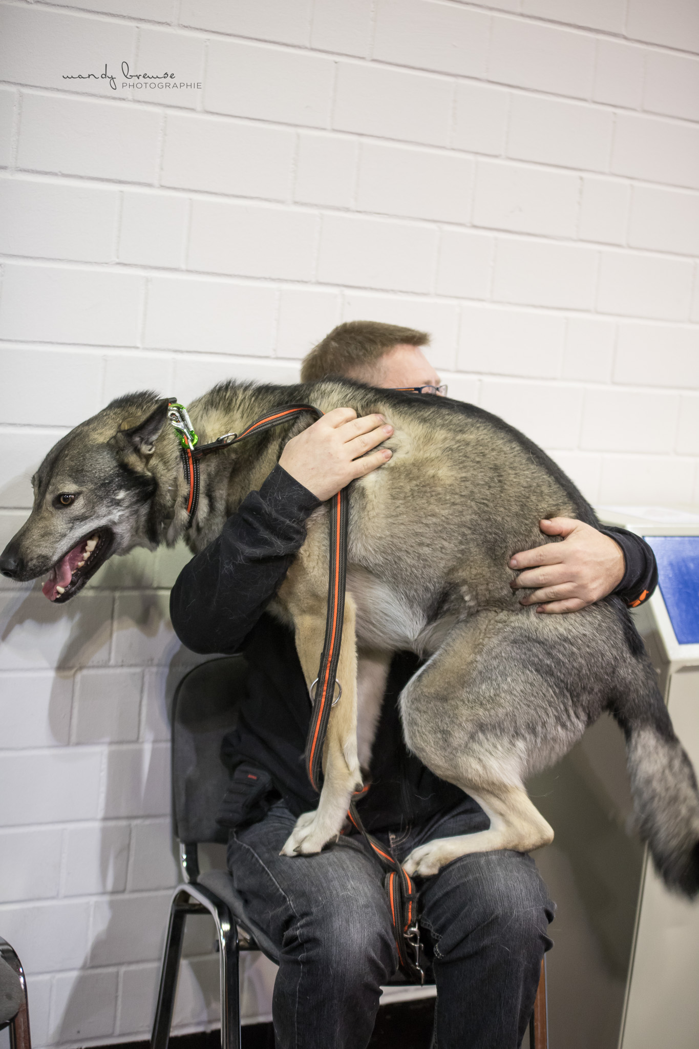 Quelle: Mandy Bremse Photografie * Genehmigung zur Veröffentlichung liegt vor IMG_3128_mbd_fb