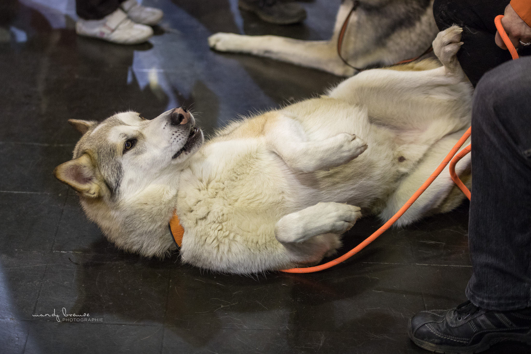 Quelle: Mandy Bremse Photografie * Genehmigung zur Veröffentlichung liegt vor IMG_3158_mbd_fb