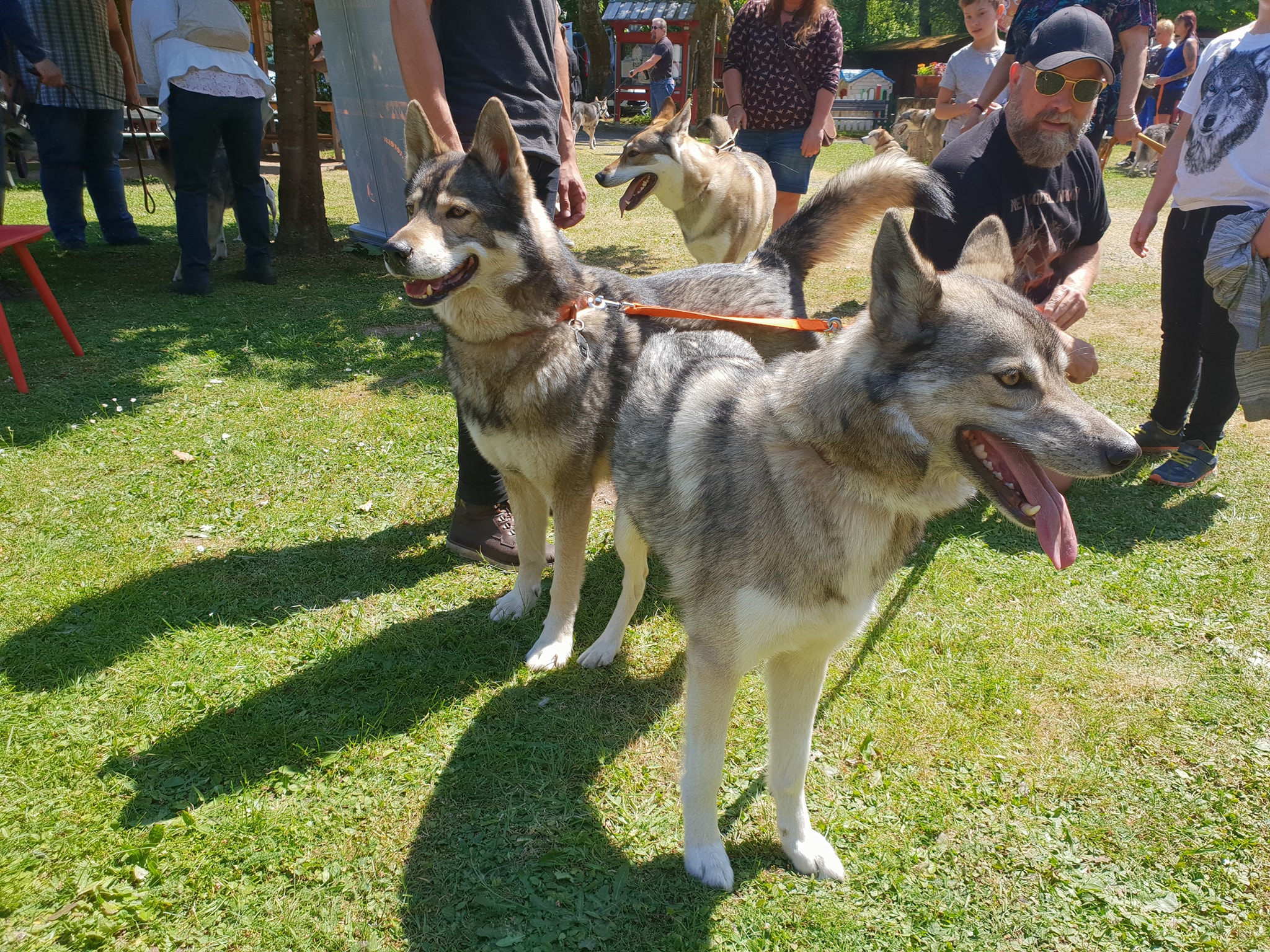 *Genehmigung zur Veröffentlichung liegt vor Gabi Turbanisch12