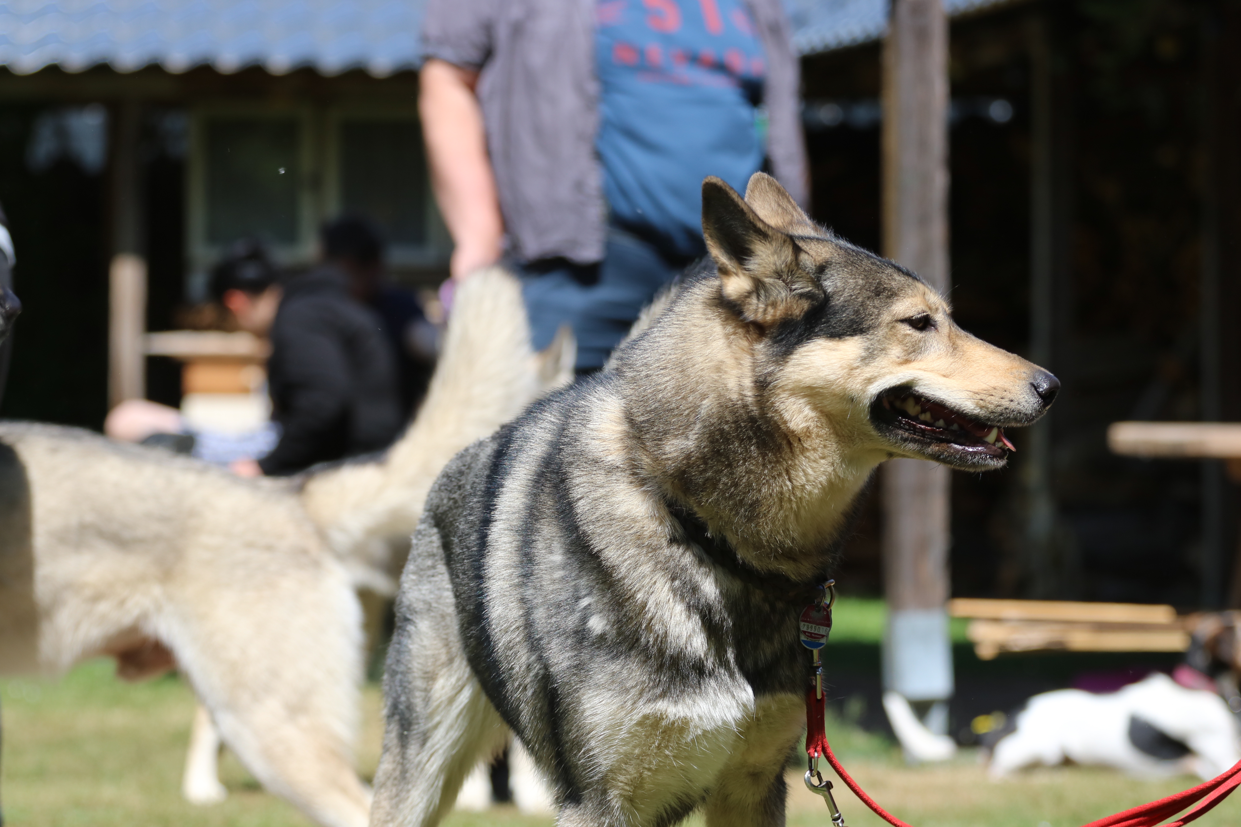 *Genehmigung zur Veröffentlichung liegt vor