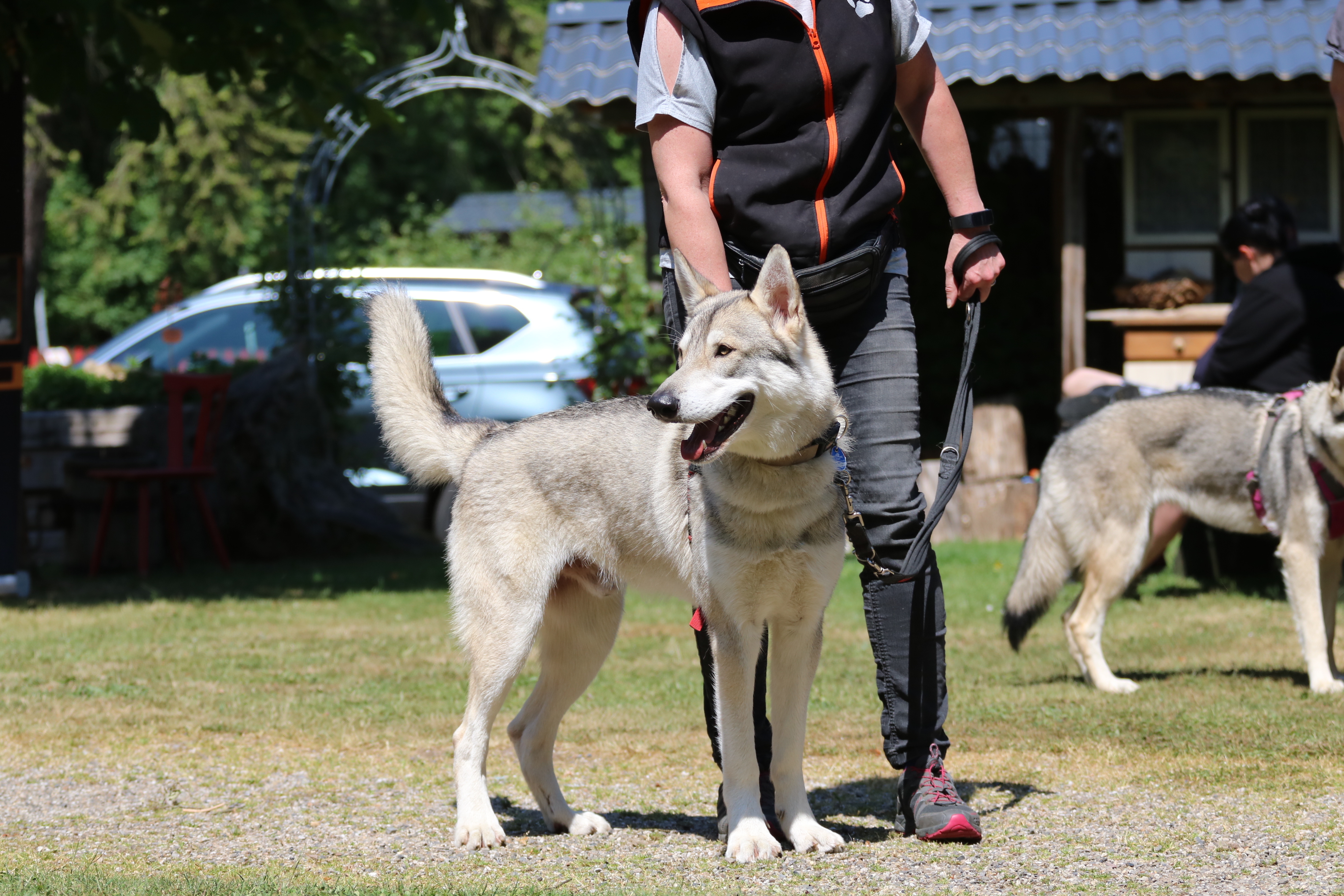 *Genehmigung zur Veröffentlichung liegt vor