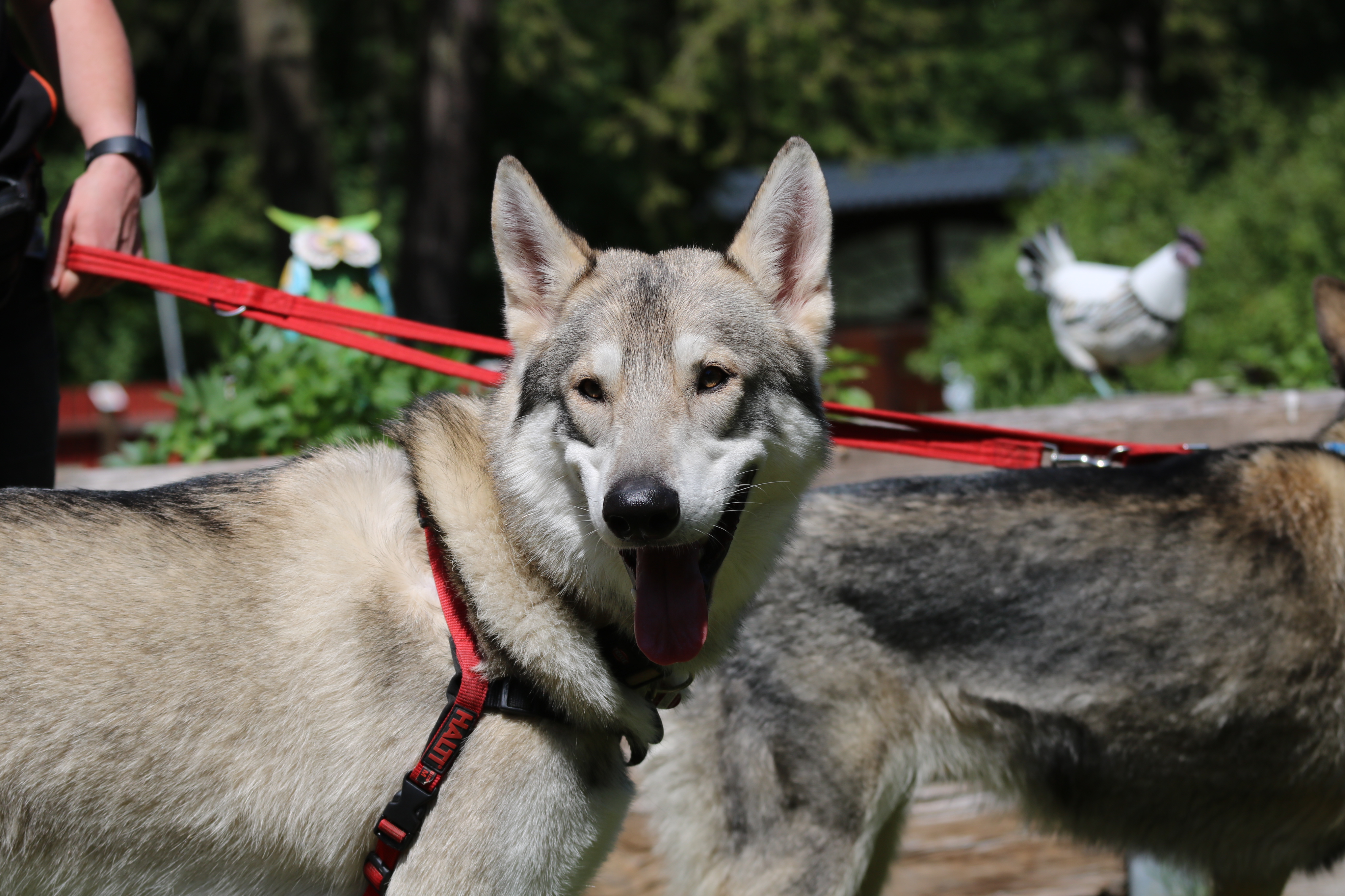 Quelle: JR-Photo * Genehmigung zur Veröffentlichung liegt vor IMG_6073