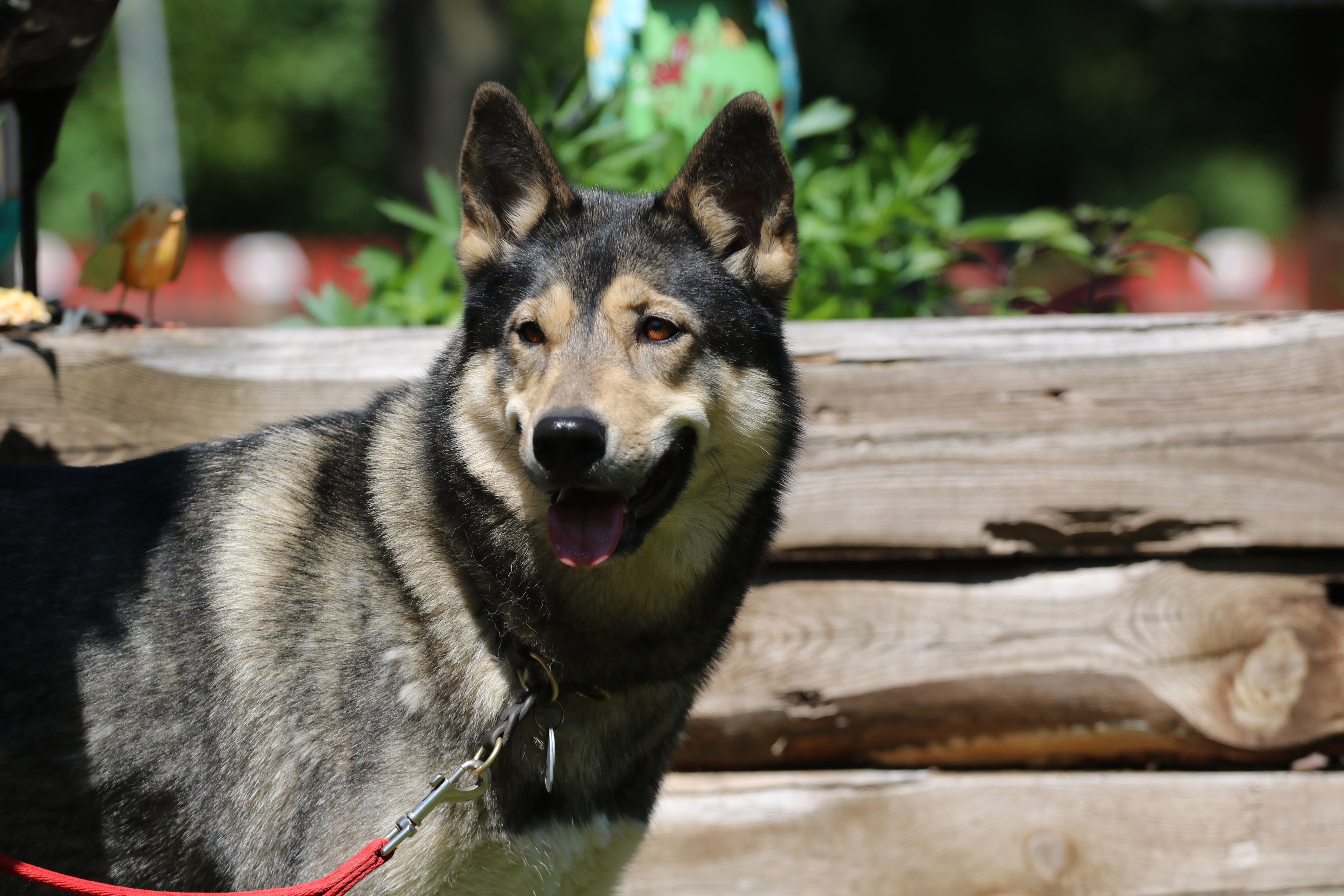 Quelle: JR-Photo * Genehmigung zur Veröffentlichung liegt vor IMG_6096