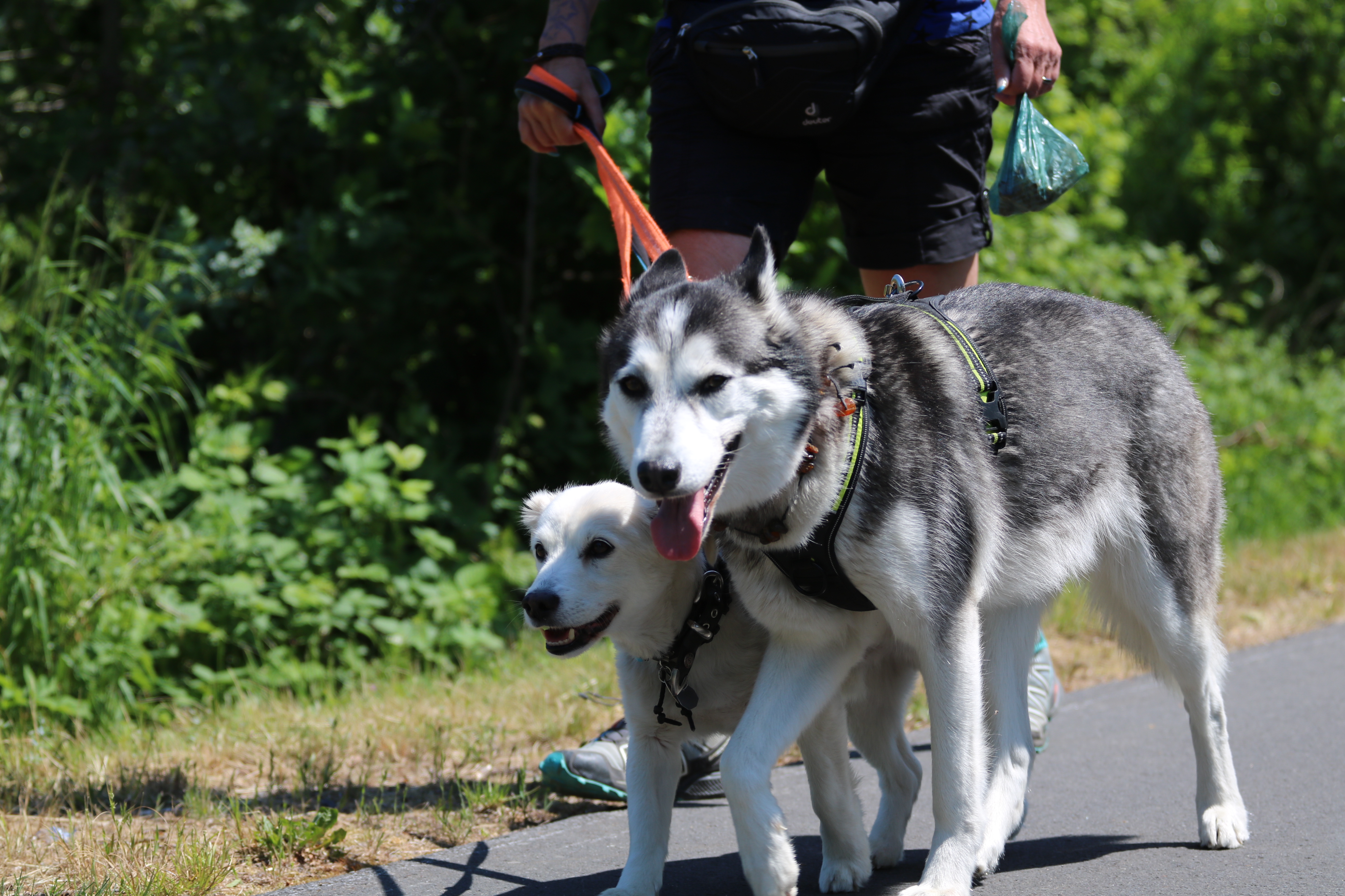 Quelle: JR-Photo * Genehmigung zur Veröffentlichung liegt vor IMG_6291