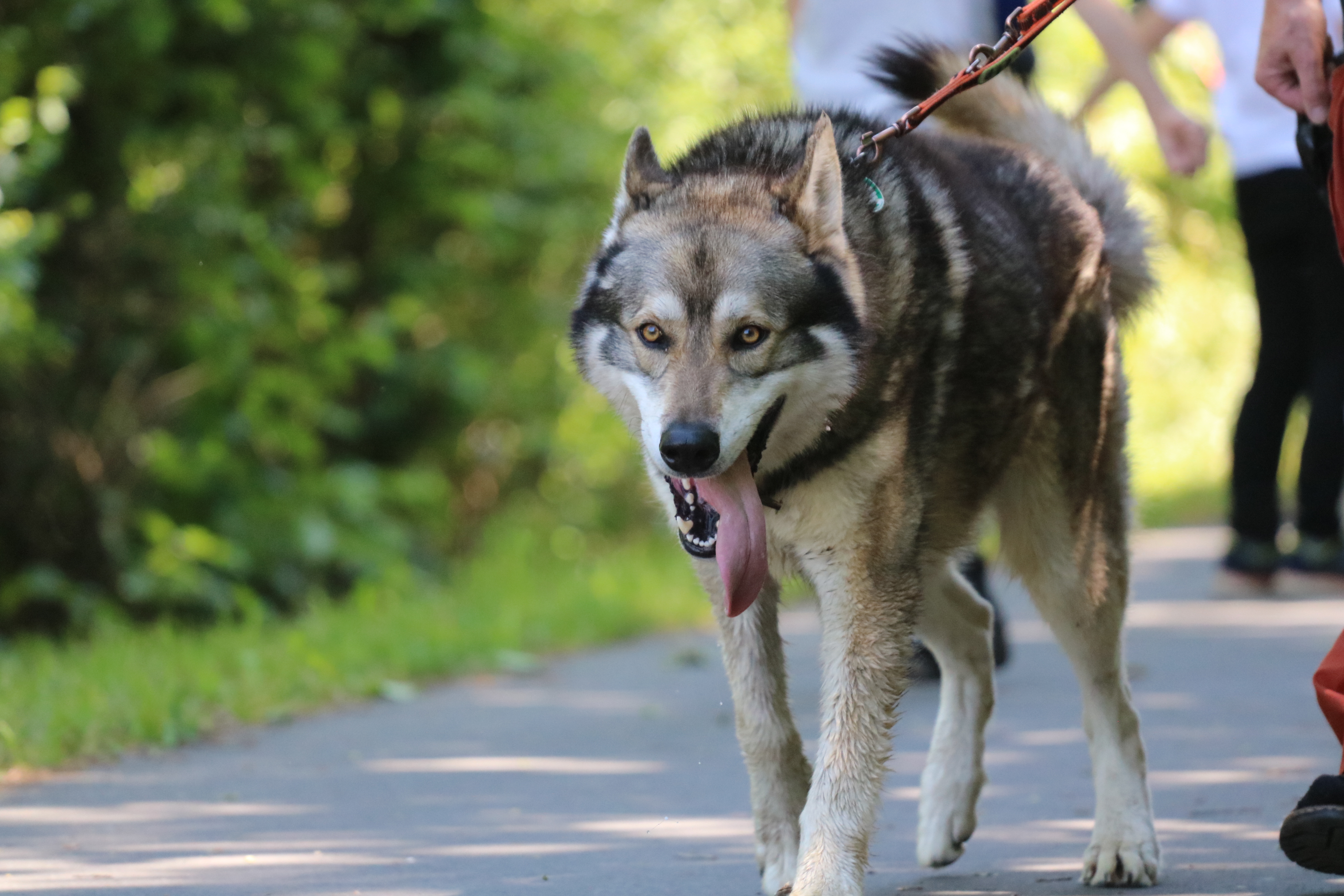 Quelle: JR-Photo * Genehmigung zur Veröffentlichung liegt vor IMG_6305
