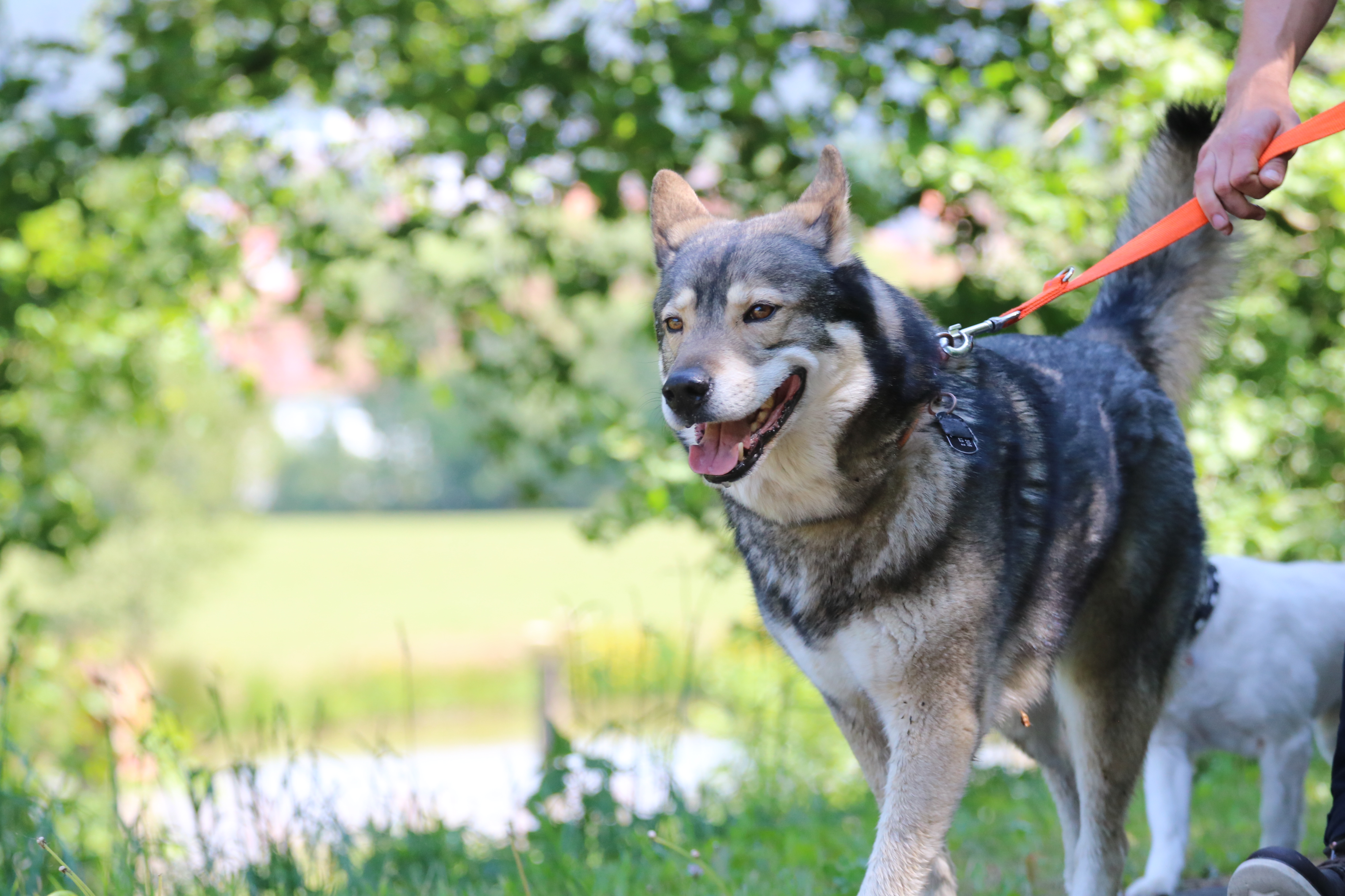 Quelle: JR-Photo * Genehmigung zur Veröffentlichung liegt vor IMG_6316
