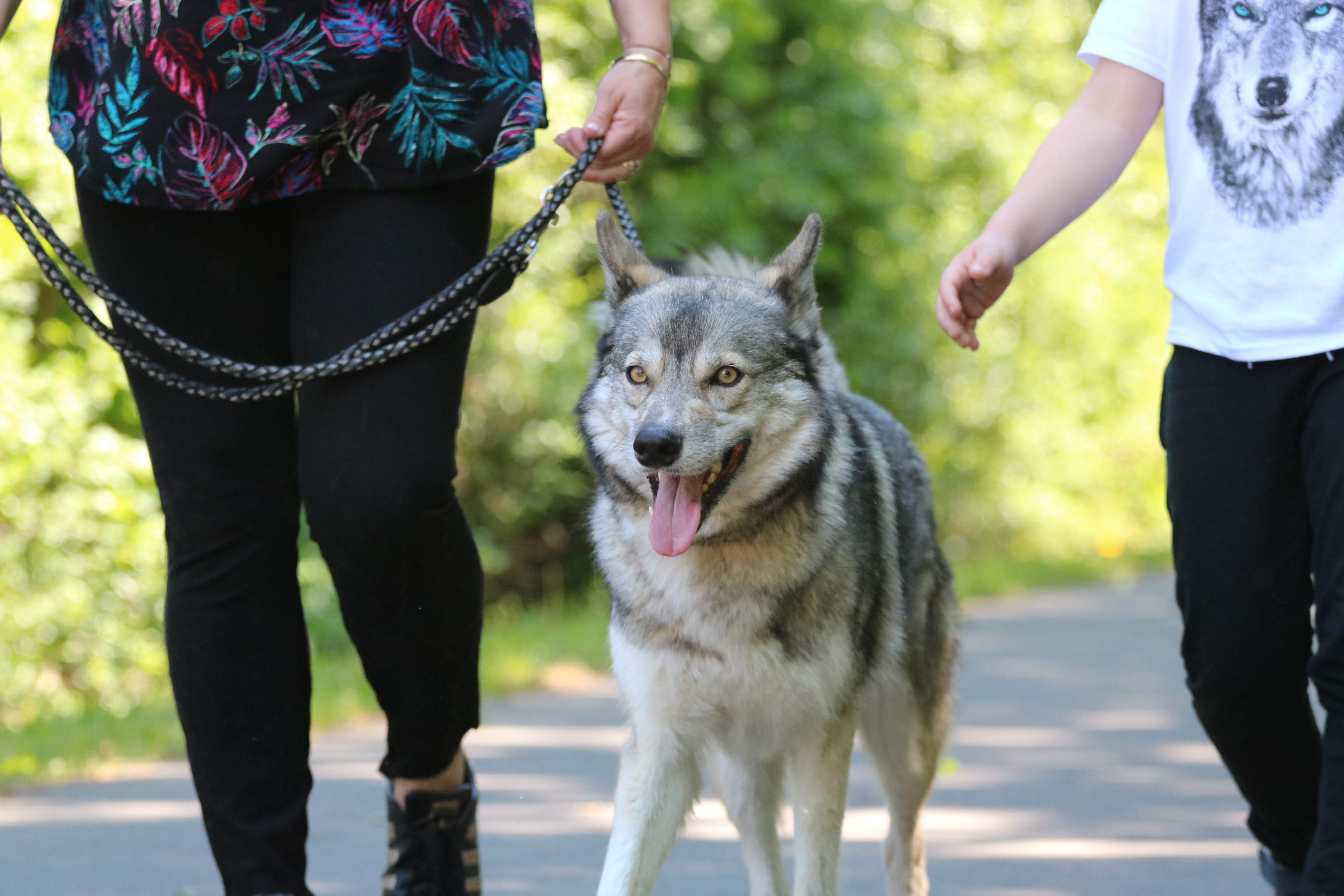 Quelle: JR-Photo * Genehmigung zur Veröffentlichung liegt vor IMG_6319