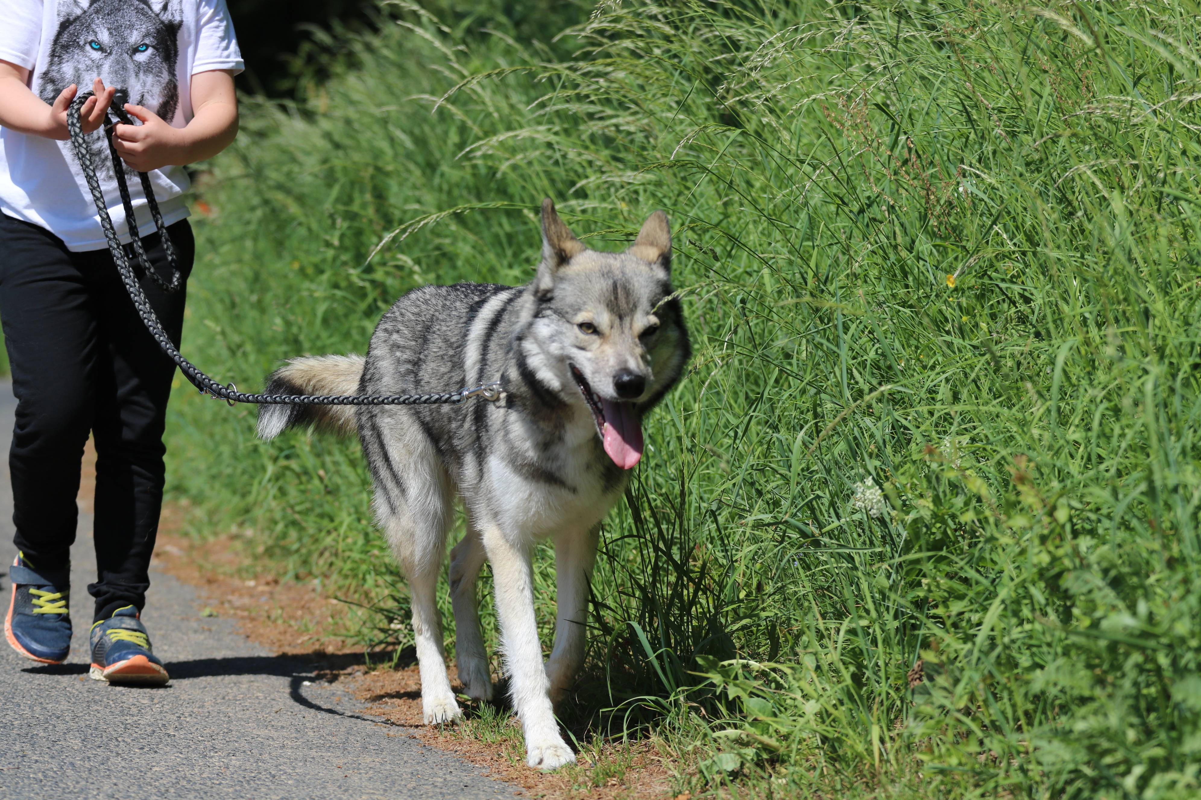Quelle: JR-Photo * Genehmigung zur Veröffentlichung liegt vor IMG_6323