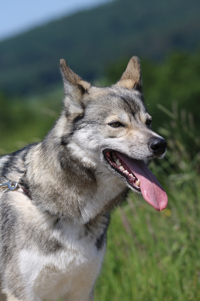Quelle: JR-Photo * Genehmigung zur Veröffentlichung liegt vor IMG_6332a