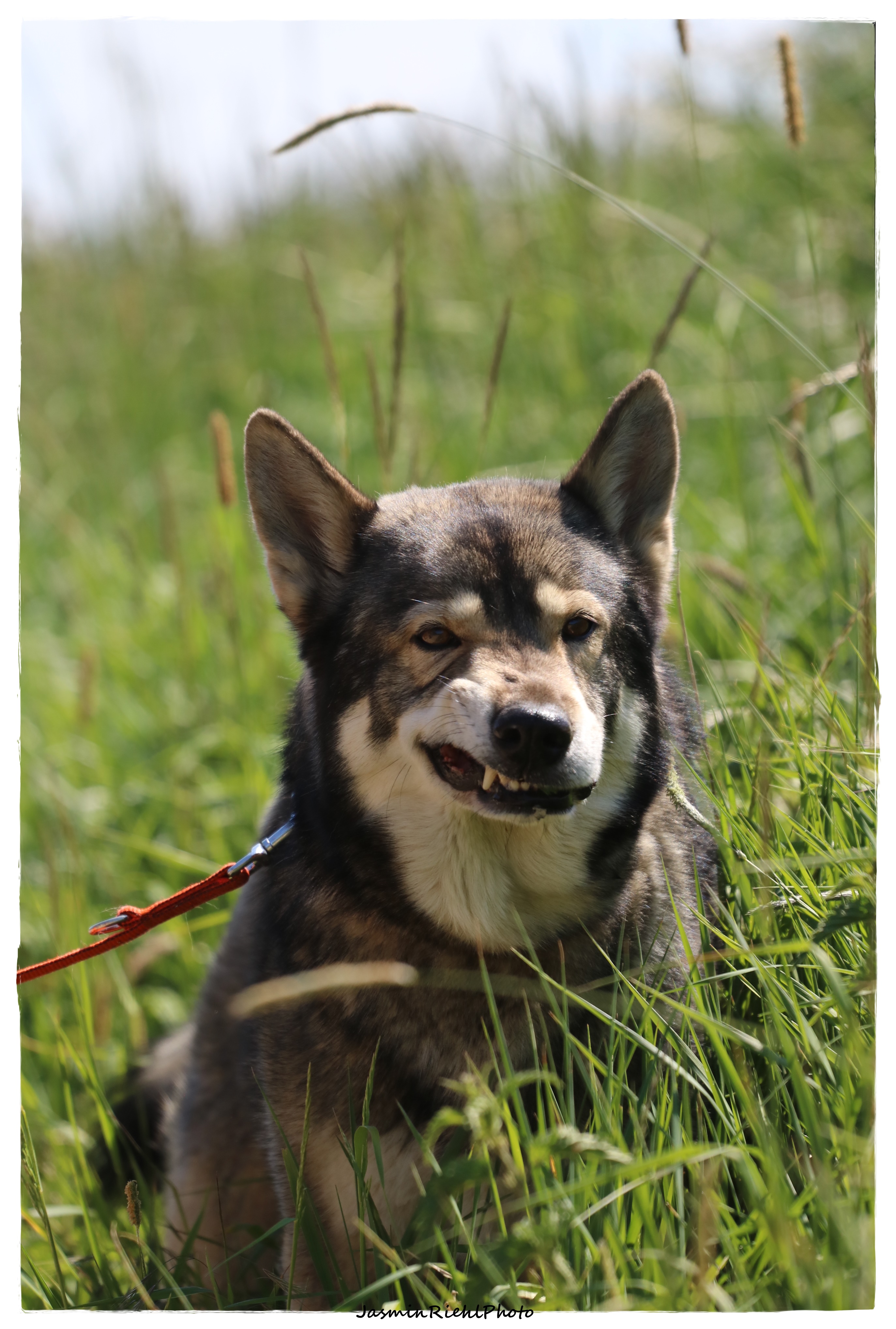 Quelle: JR-Photo * Genehmigung zur Veröffentlichung liegt vor IMG_6352