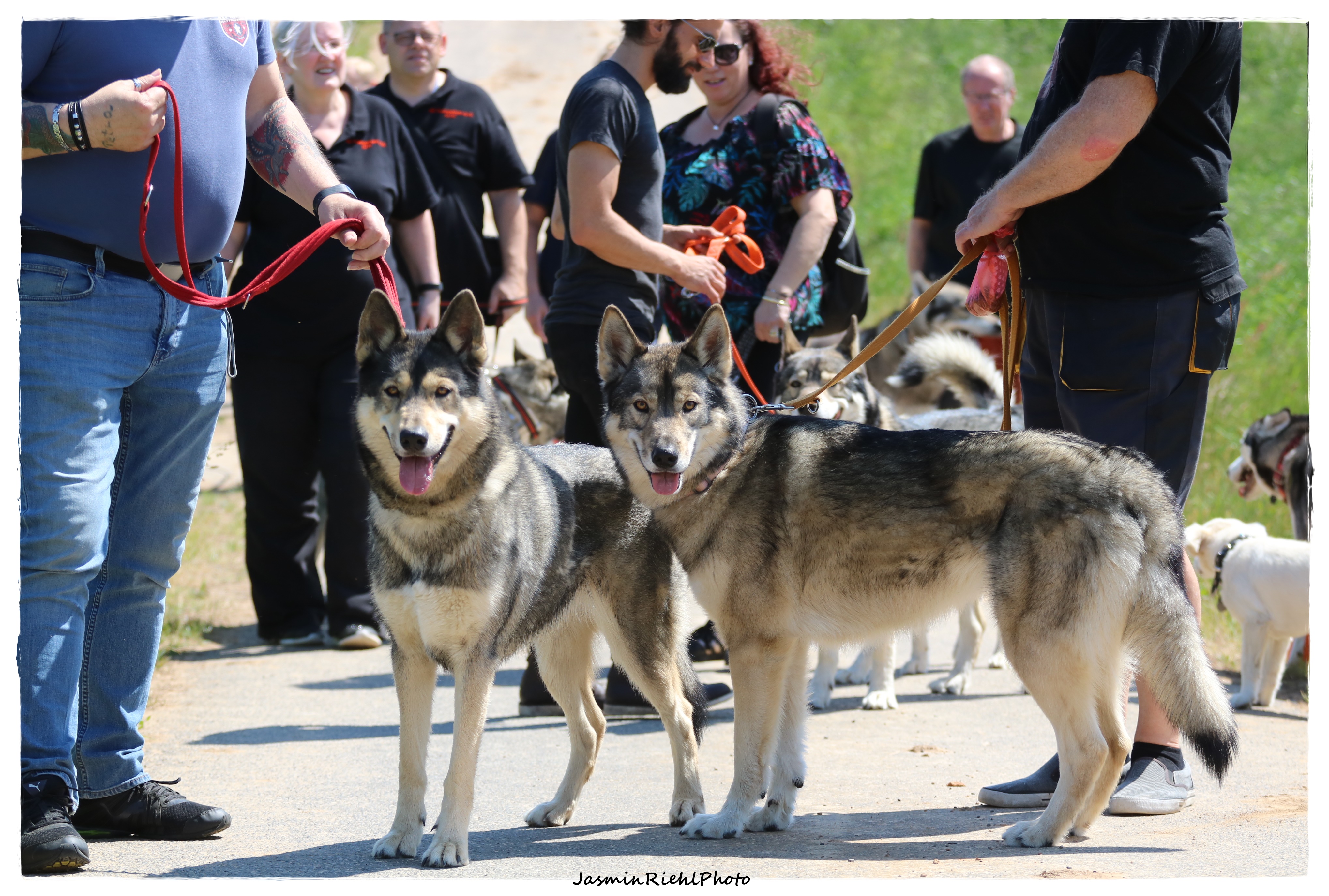 Quelle: JR-Photo * Genehmigung zur Veröffentlichung liegt vor IMG_6383
