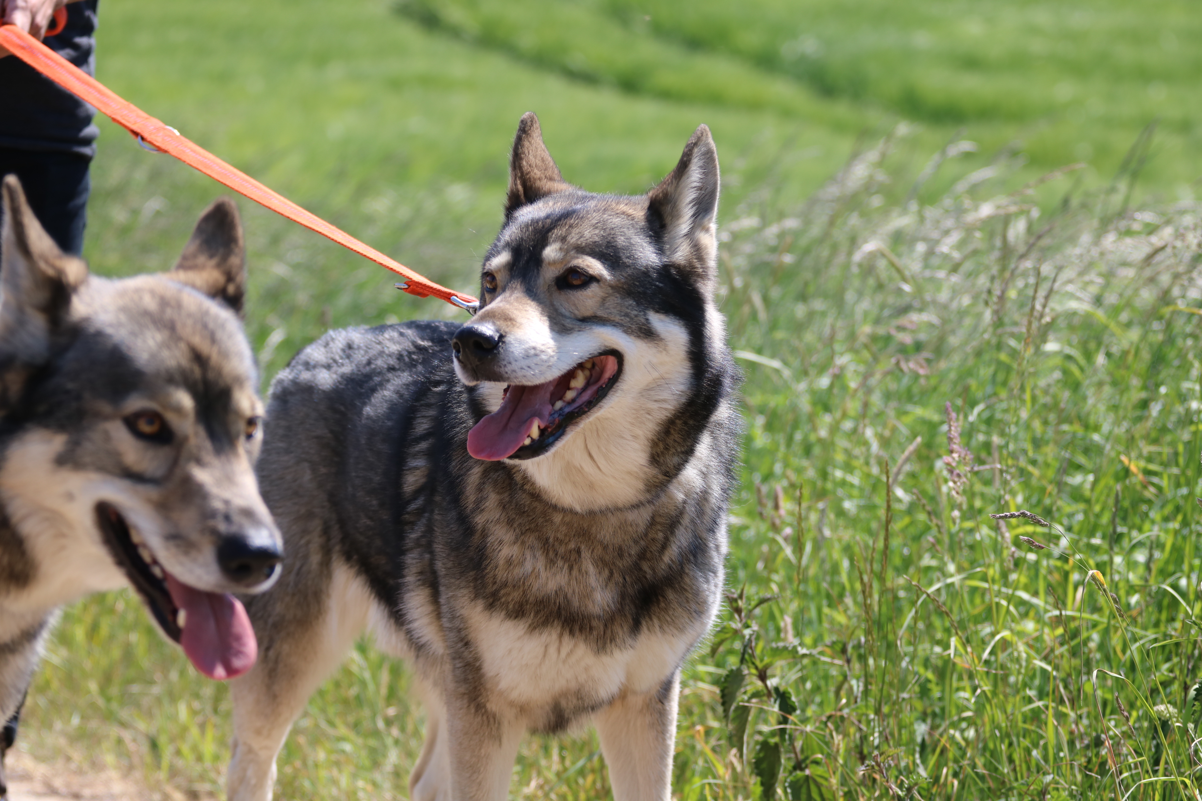 Quelle: JR-Photo * Genehmigung zur Veröffentlichung liegt vor