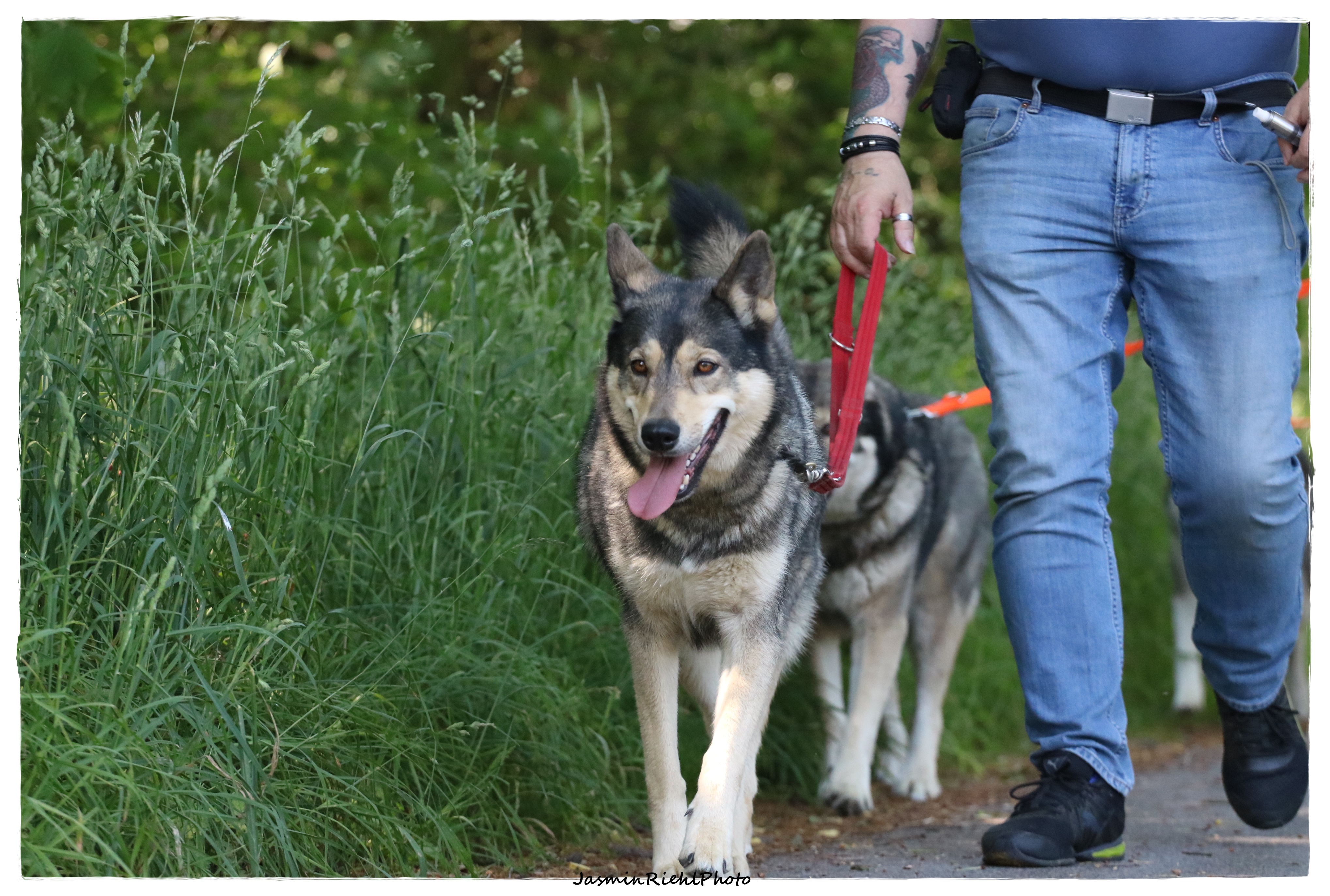 Quelle: JR-Photo * Genehmigung zur Veröffentlichung liegt vor IMG_6408