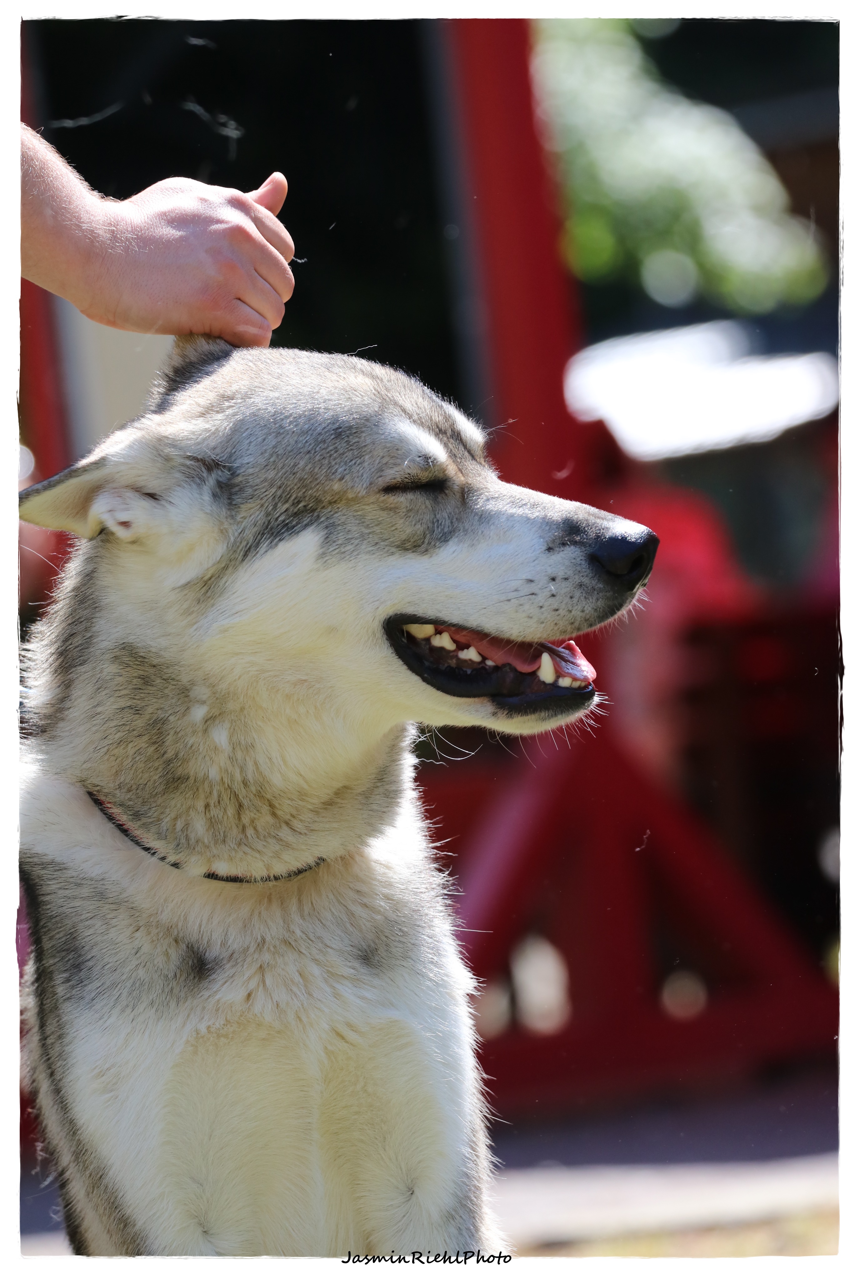 Quelle: JR-Photo * Genehmigung zur Veröffentlichung liegt vor IMG_6494