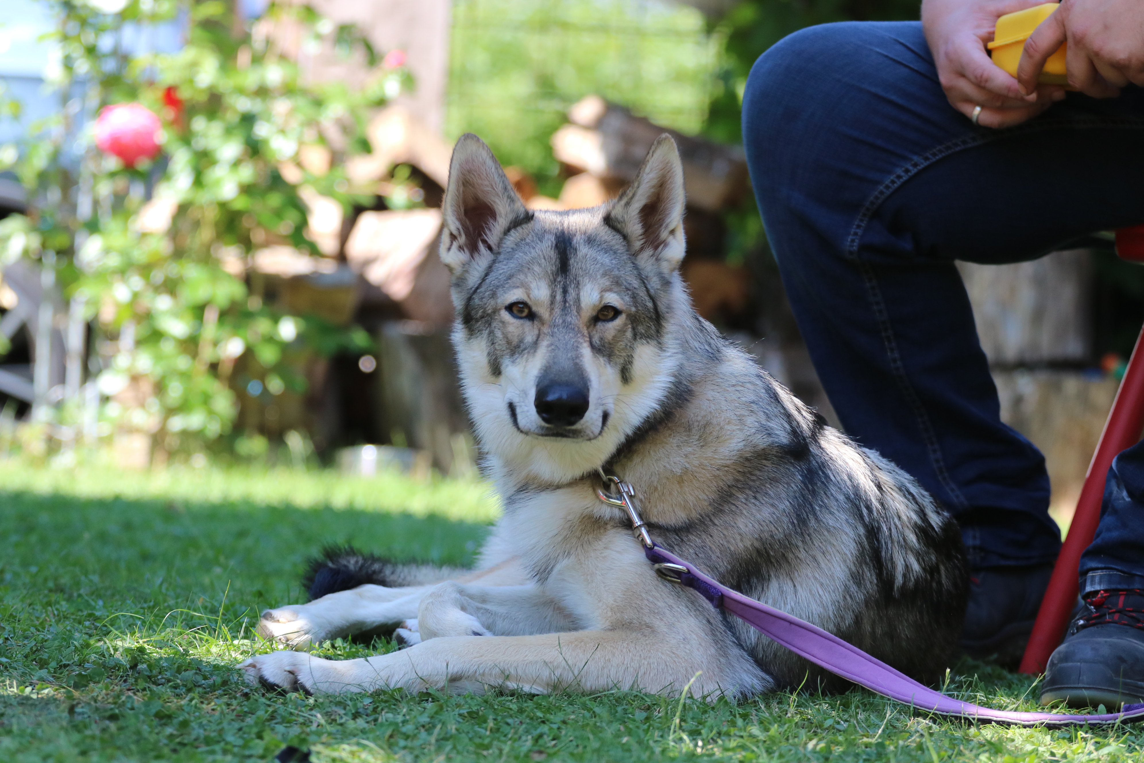 Quelle: JR-Photo * Genehmigung zur Veröffentlichung liegt vor