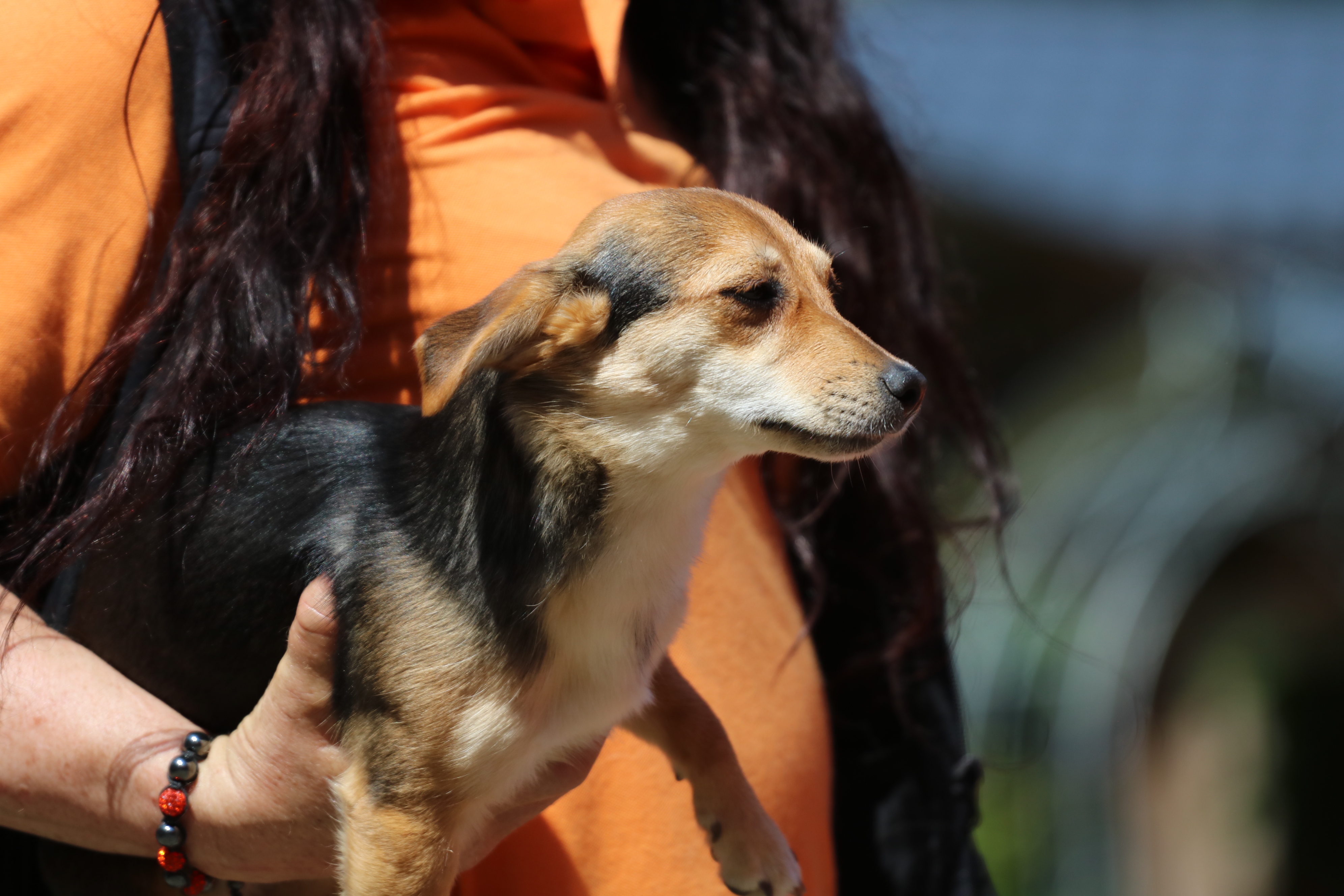 *Genehmigung zur Veröffentlichung liegt vor