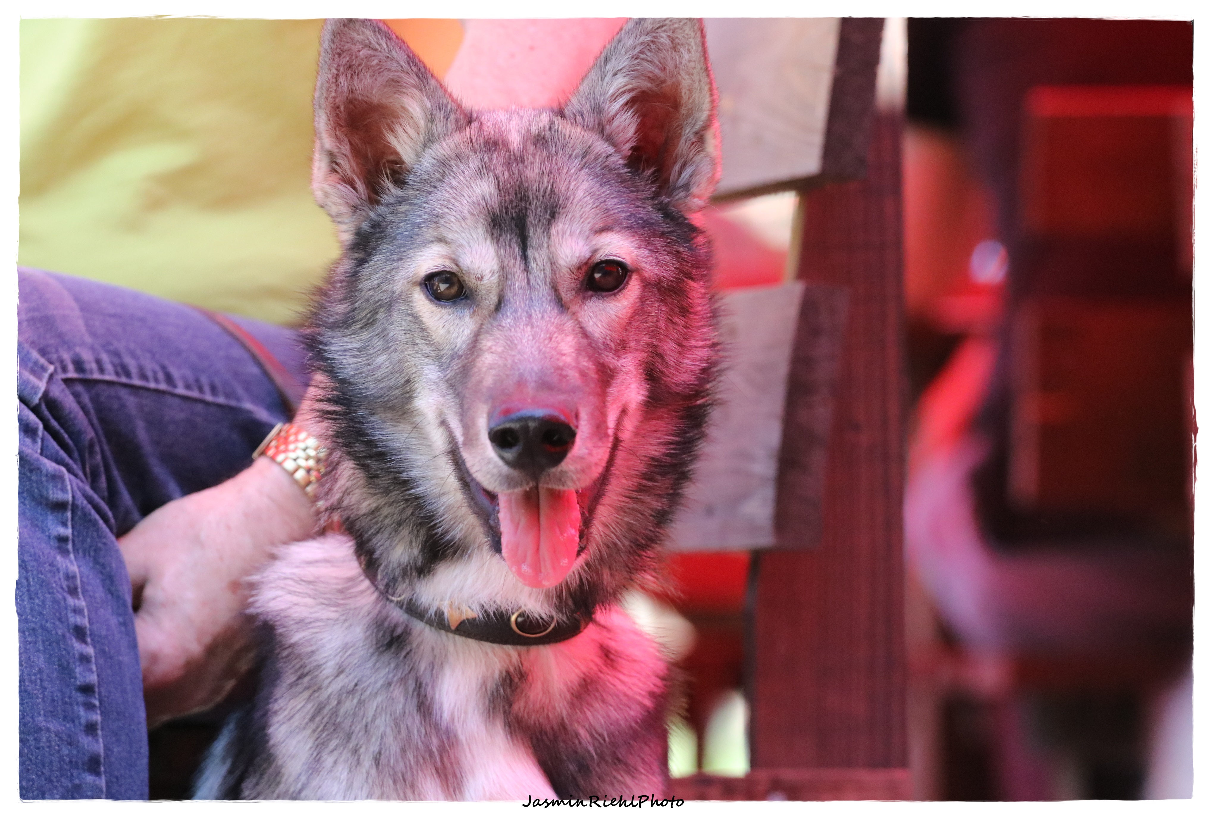 Quelle: JR-Photo * Genehmigung zur Veröffentlichung liegt vor IMG_6567