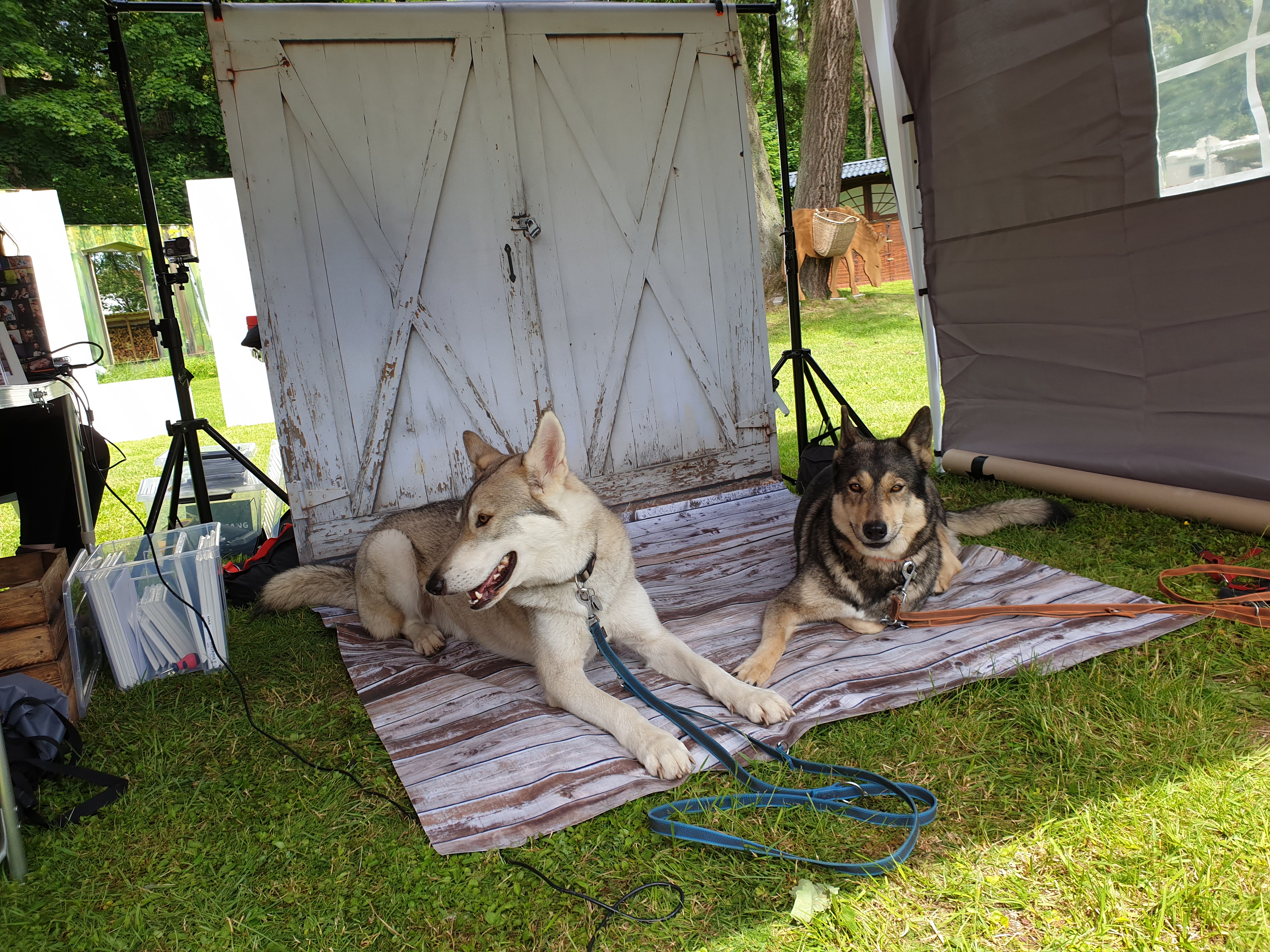 Quelle: G.Turbanisch * Genehmigung zur Veröffentlichung liegt vor