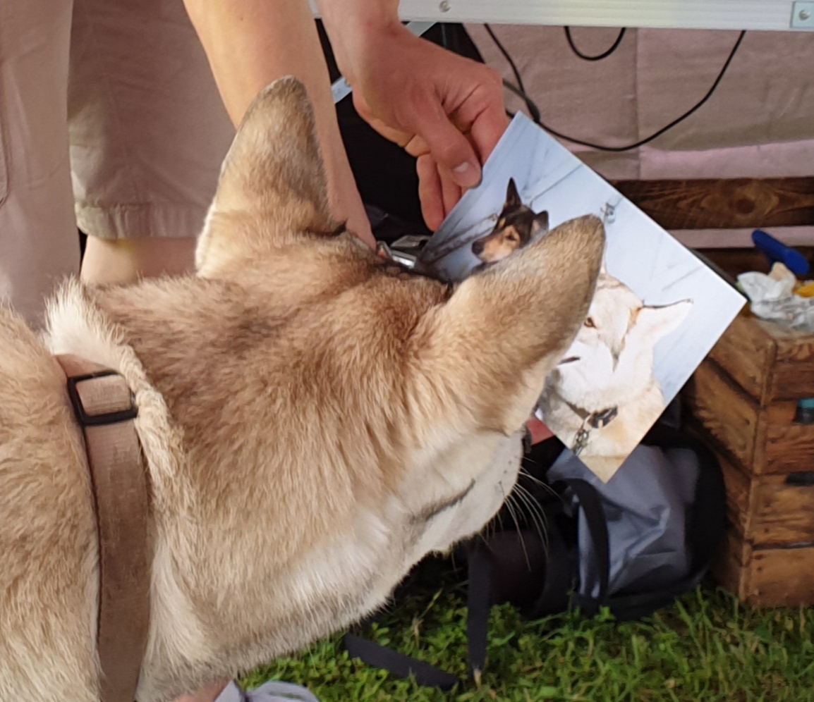 Quelle: G.Turbanisch * Genehmigung zur Veröffentlichung liegt vor