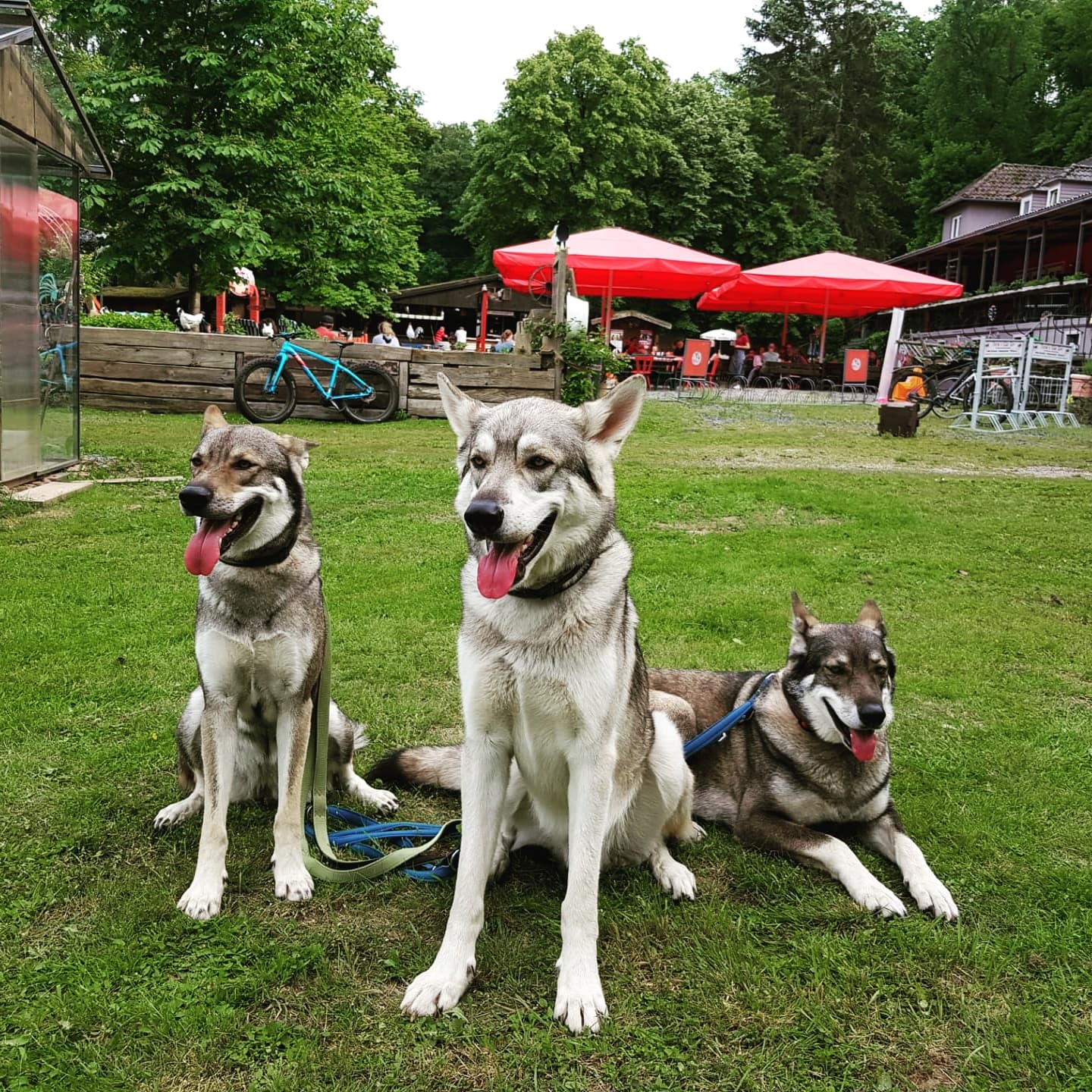 Quelle B.Greminger * Genehmigung zur Veröffentlichung liegt vor