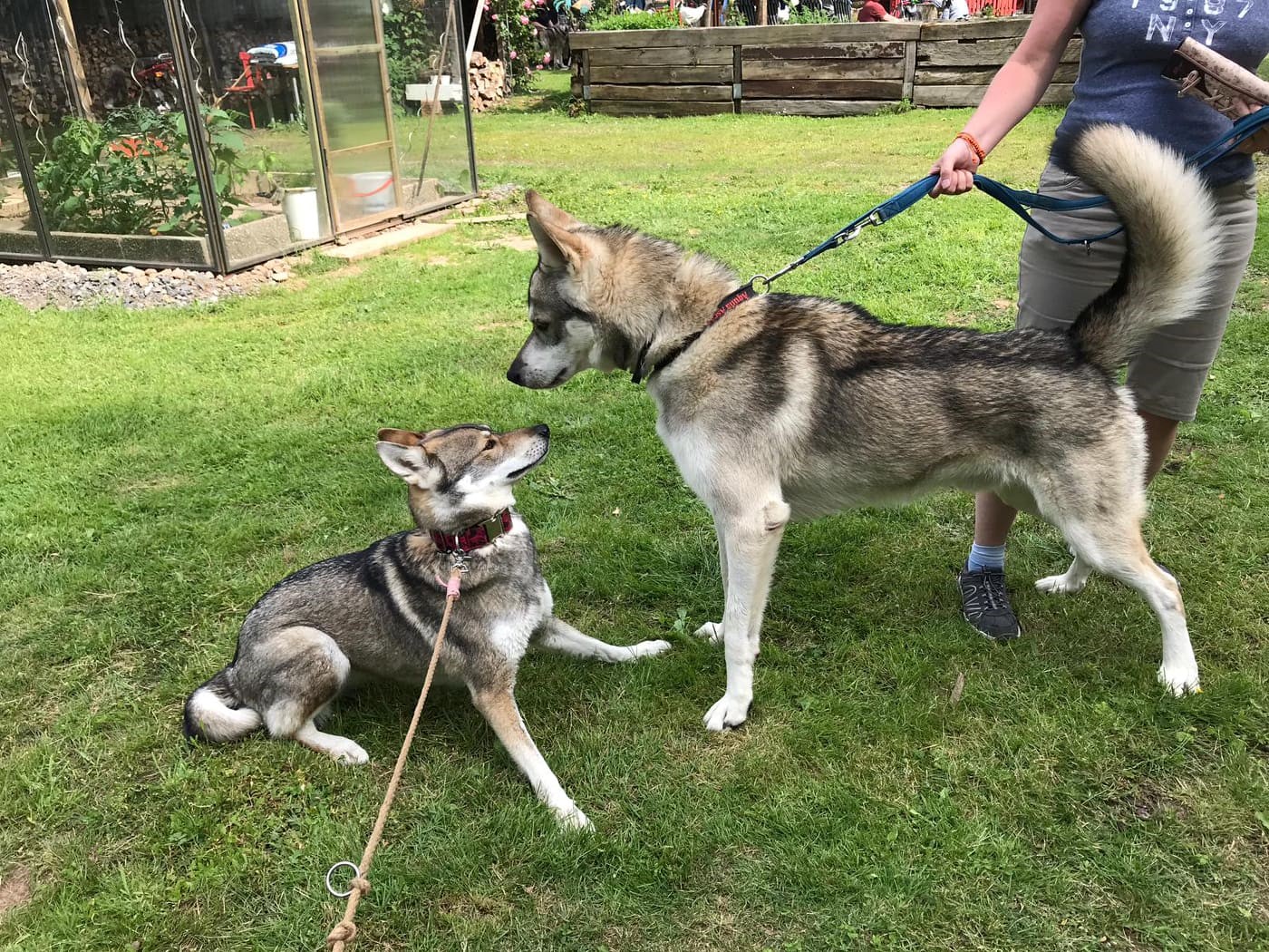Quelle: B. Greminger * Genehmigung zur Veröffentlichung liegt vor