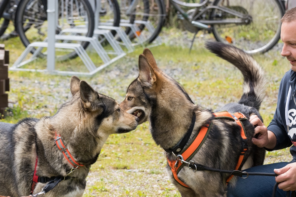 Quelle sr-photography * Genehmigung zur Veröffentlichung liegt vor