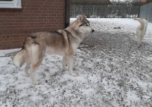 Cara und Alice im Garten (2)